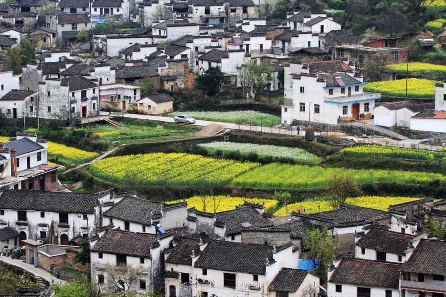 嶺腳村